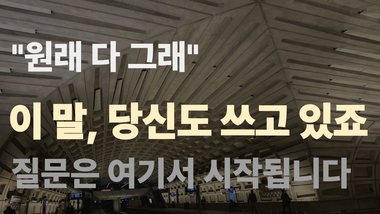 언어 통치 구조